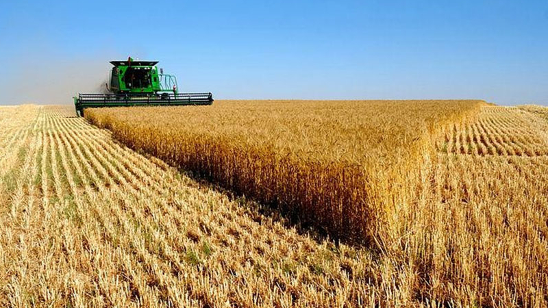 “Russia will make an exception for Armenia in grain exports”