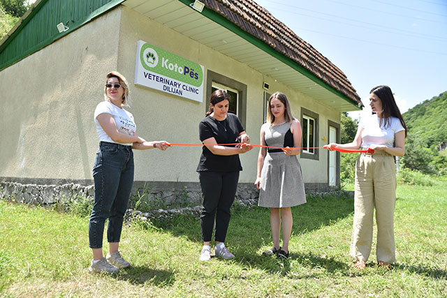A vet clinic opens in an attempt to solve the problem of stray dogs in Dilijan