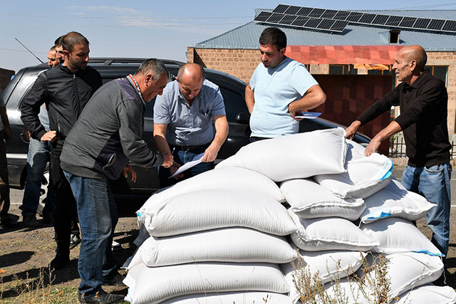 FAO provides winter wheat seeds to vulnerable families in Armenia