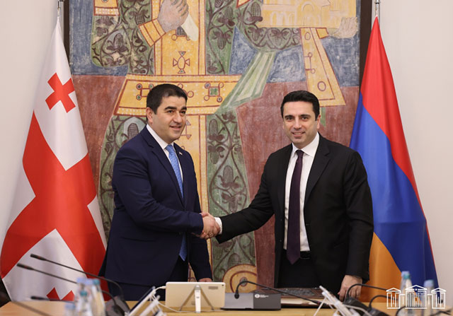 We are Interested in the Establishment of Strategic Partnership with Georgia- Alen Simonyan noted