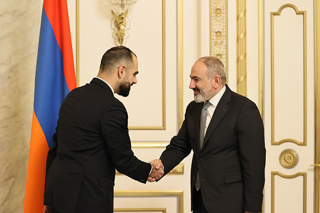 Nikol Pashinyan receives Arin Karapet, Swedish MP of Armenian descent