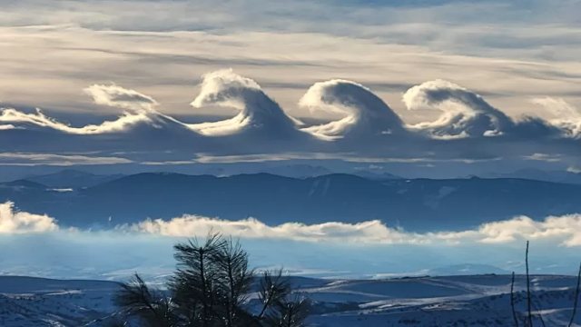 White-maned horses: rare wave clouds amaze sky-watchers in Wyoming