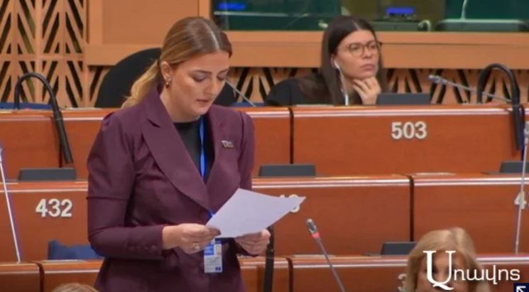 The Azerbaijani delegate in PACE manipulated Anna Hakobyan’s participation in the Tehran conference