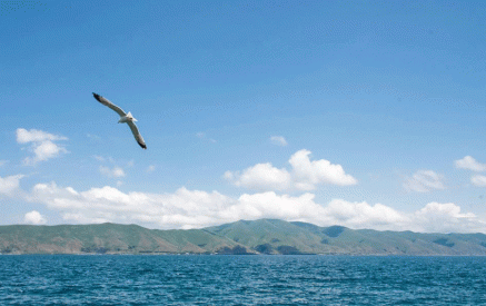 The use and sustainable management of living resources in Lake Sevan will be regulated