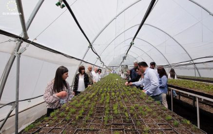 First plant nursery opens in Shirak region in Armenia