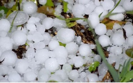On June 17-22 in separate regions hail is possible