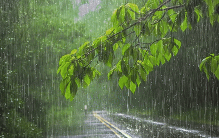 In the daytime of July 1 and 4-5 in separate regions short-term rain with thunderstorm is predicted