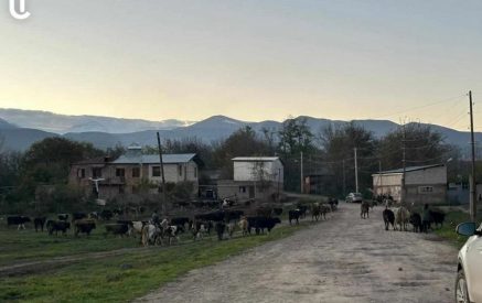 “If the Turk enters Goris, will he not go to Yerevan? We live in fear; the leaders don’t do anything.” The life in Hartashen, which has become a border community