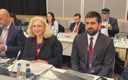 The OSCE Parliamentary Assembly and its third committee remain important platforms for discussing and addressing the current humanitarian crises in the whole OSCE region.Sargis Khandanyan