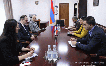 Anahit Manasyan emphasized that the protection of the rights of persons forcibly displaced from Nagorno Karabakh is one of the priorities of her work