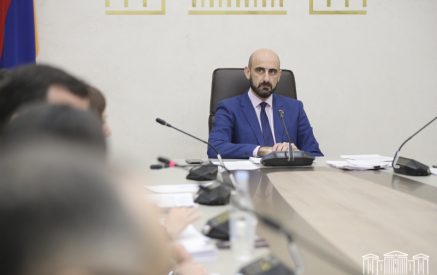Narek Zeynalyan proposed the participants to give power to the Government to establish the order of preserving and transportation of organs