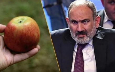 Man Prosecuted For Throwing Apple At Pashinyan