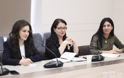 Heriknaz Tigranyan meets with representatives of House of Hope Charity Center Foundation