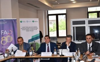 Steering Committee Meeting for the Forest Resilience of Armenia: Enhancing Adaptation and Rural Green Growth via Mitigation Project