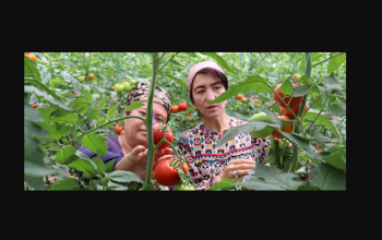 European Commission on Agriculture session to discuss producing more with less