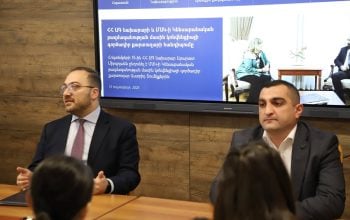 A series of lectures in universities on the foreign policy and diplomatic service of the Republic of Armenia
