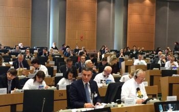 Reflections on the Euronest Parliamentary Assembly and Armenia’s Path toward European Values
