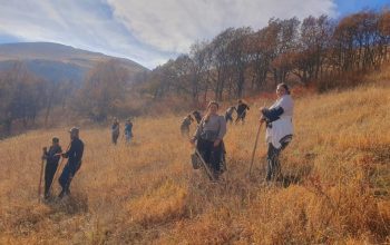 Viva and “My Forest Armenia” create a new forest on 1.5 hectares