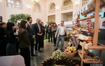 EU LEAD4Shirak project has supported 48 businesses and 84 community initiatives in Shirak