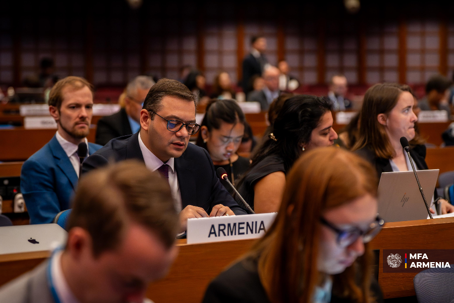 Abisoghomonyan presents Armenia’s inclusive social policies at ESCAP session