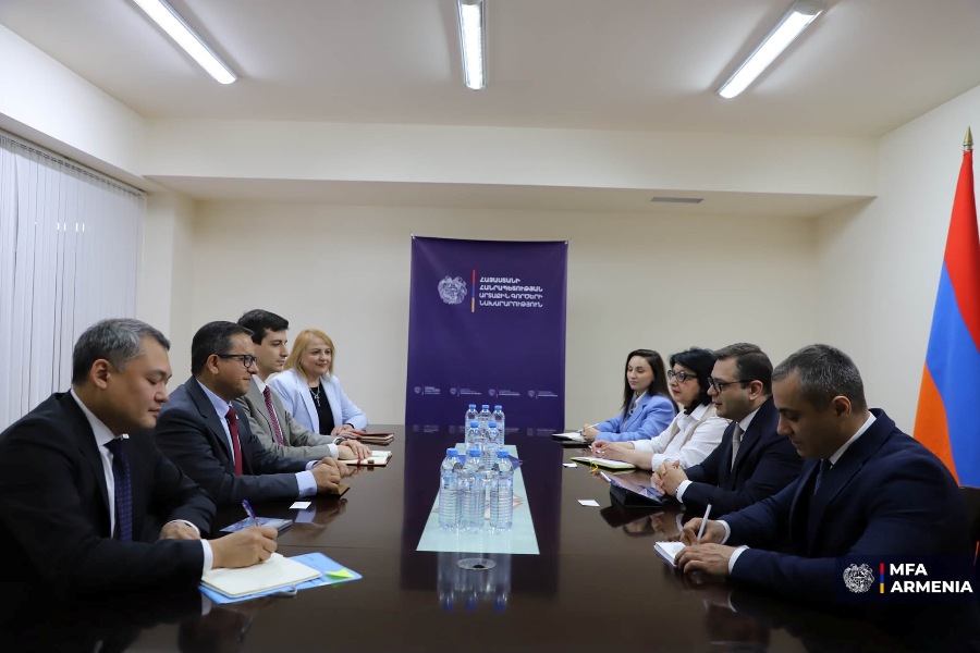 Armenian Deputy FM, IFRC Under Secretary General Discuss Programs to Address Needs of Karabakh Refugees