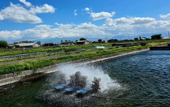 Armenian Finfish Producers Receive Guidance on EU Export Process